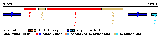 gene map