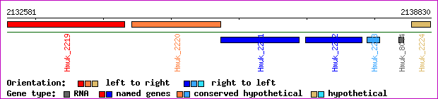gene map