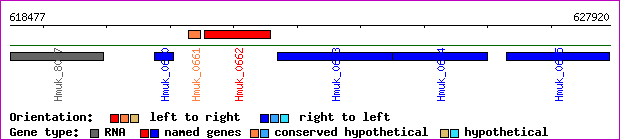 gene map