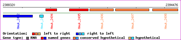 gene map