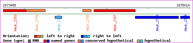 gene map