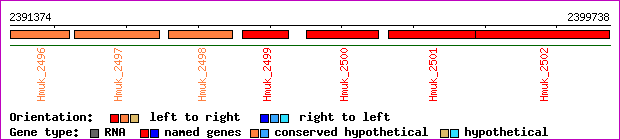 gene map