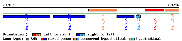 gene map
