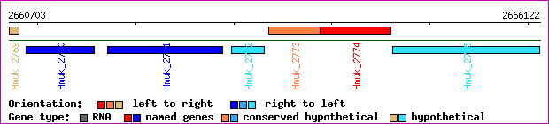 gene map