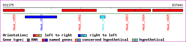 gene map