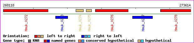 gene map