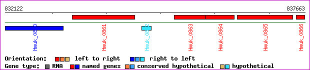 gene map