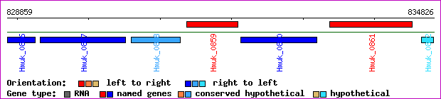 gene map