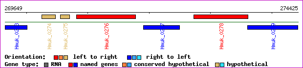 gene map