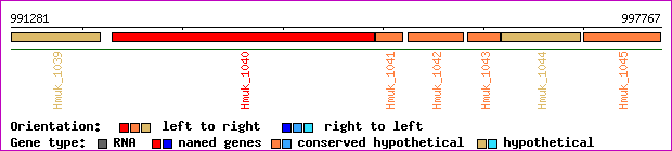 gene map