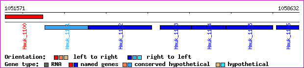 gene map
