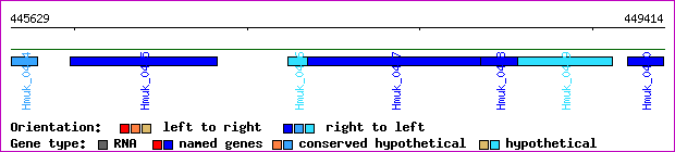 gene map