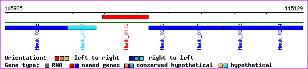 gene map