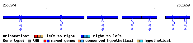 gene map