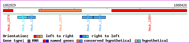 gene map