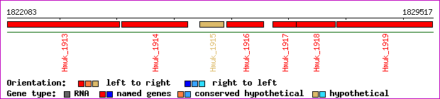 gene map