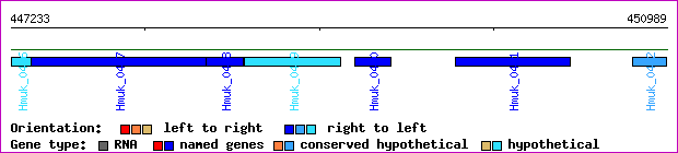 gene map