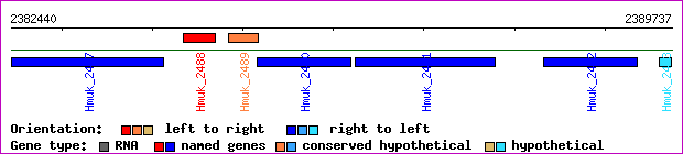 gene map