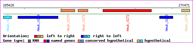 gene map