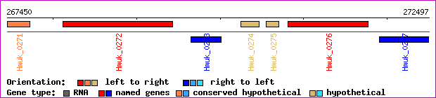 gene map