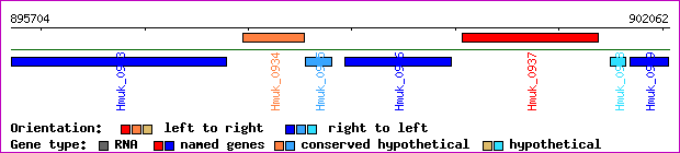 gene map