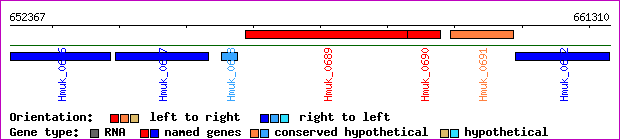 gene map