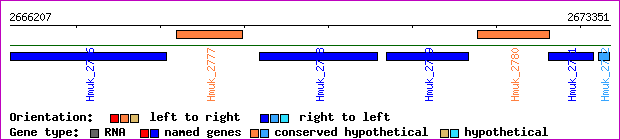 gene map
