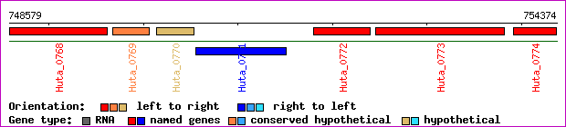 gene map