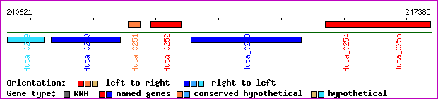 gene map