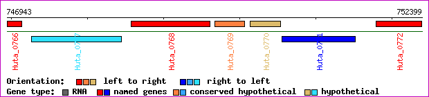 gene map