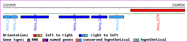 gene map