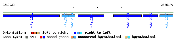 gene map