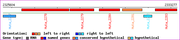 gene map