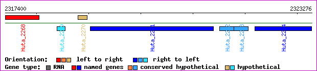 gene map