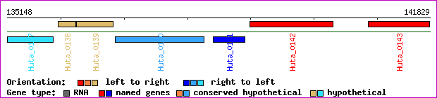 gene map