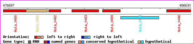 gene map