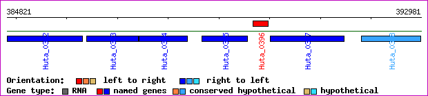 gene map