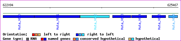 gene map