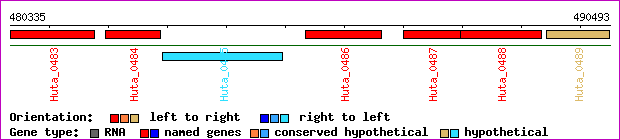 gene map