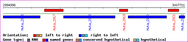 gene map