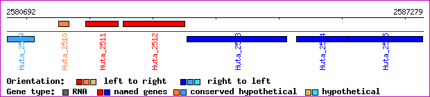 gene map