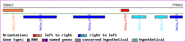 gene map