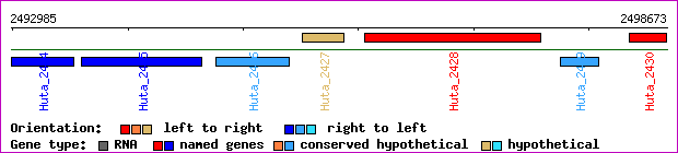 gene map