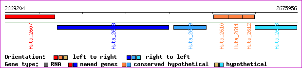 gene map