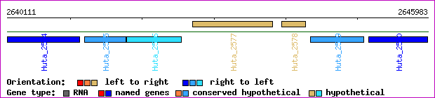 gene map