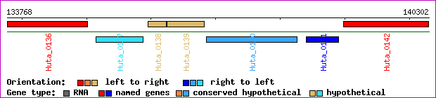 gene map