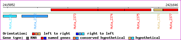 gene map
