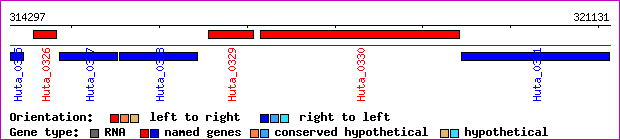 gene map