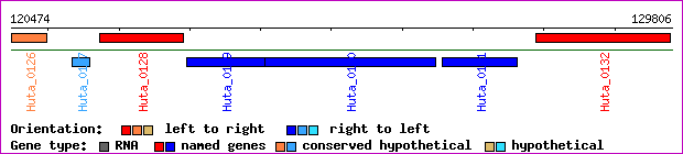 gene map