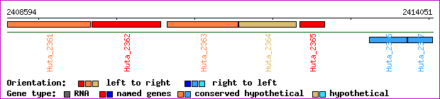 gene map